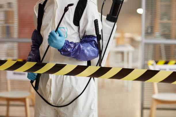 Professional Sewage Cleanup technician working in Lillian, TX